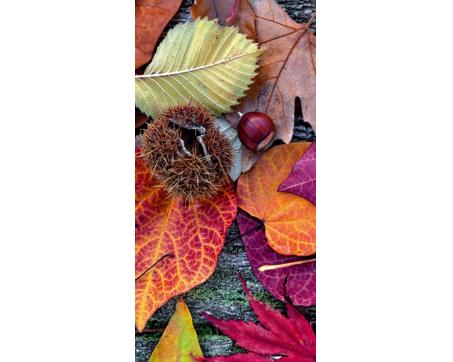 S-535 Vliesové fototapety na zeď Podzimní listí - 110 x 220 cm