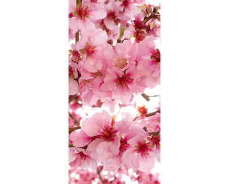 S-538 Vliesové fototapety na zeď Jabloňové květy - 110 x 220 cm
