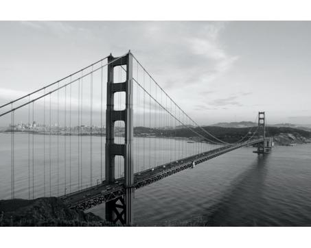 XL-300 Vliesové fototapety na zeď Golden Gate šedá - 330 x 220 cm