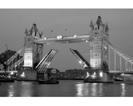 XL-305 Vliesové fototapety na zeď Tower Bridge šedý - 330 x 220 cm