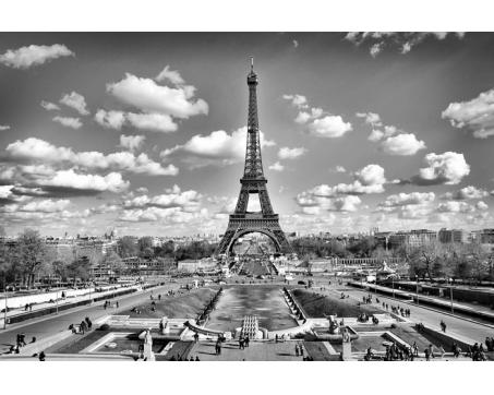 XL-308 Vliesové fototapety na zeď Paříž šedá - 330 x 220 cm
