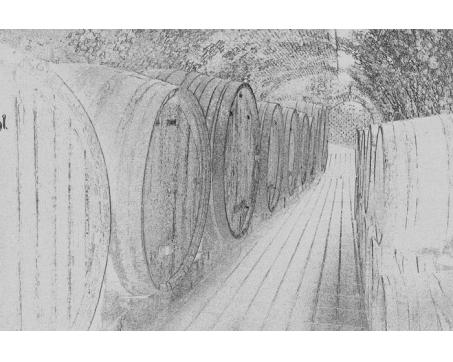 XL-319 Vliesové fototapety na zeď Sudy s vínem černobílá kresba - 330 x 220 cm