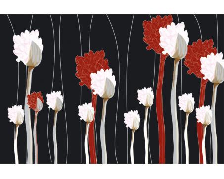 XL-323 Vliesové fototapety na zeď Červenobílé květy na černém pozadí - 330 x 220 cm