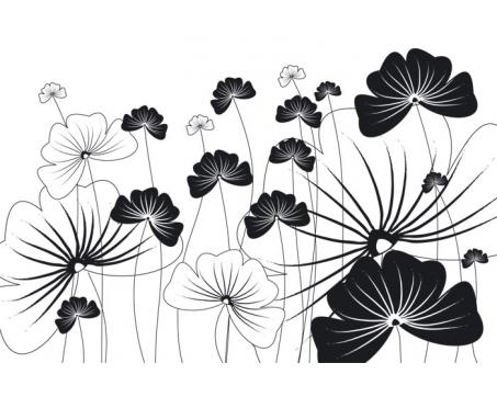 XL-325 Vliesové fototapety na zeď Černobílé květy na bílém pozadí - 330 x 220 cm