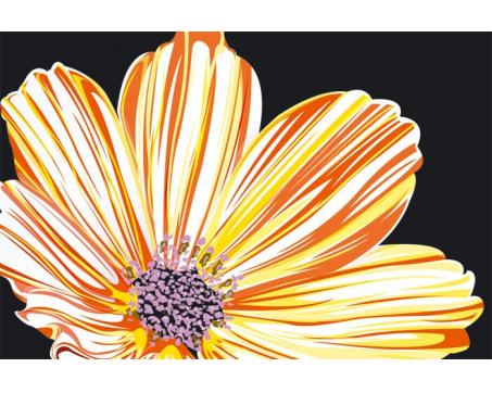 XL-340 Vliesové fototapety na zeď Žlutá květina na černém pozadí - 330 x 220 cm