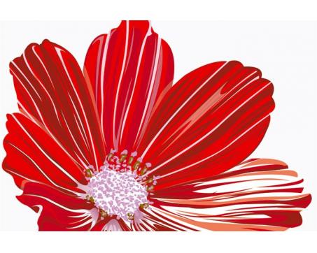 XL-341 Vliesové fototapety na zeď Červená květina - 330 x 220 cm