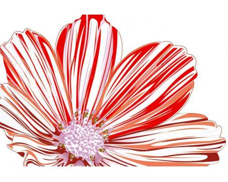 XL-342 Vliesové fototapety na zeď Červenobílá květina - 330 x 220 cm