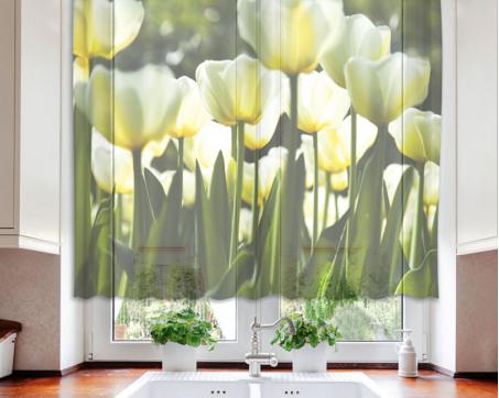 VO-140-012 Hotové záclony do kuchyně DIMEX - fotozáclony Bílé tulipány 140 x 120 cm