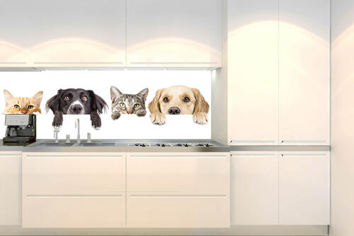 Fototapeta do kuchyně - Kočky a psi 180 x 60 cm