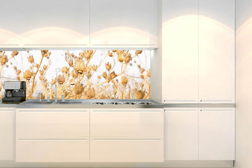 Fototapeta do kuchyně - Suché bodláčí 180 x 60 cm