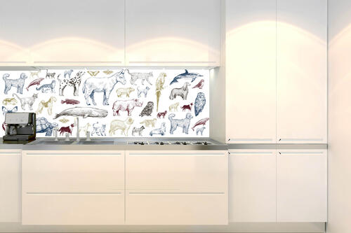Fototapeta do kuchyně - Sbírka zvířat 180 x 60 cm