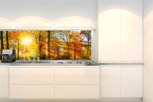 Fototapeta do kuchyně - Barevný podzimní les 180 x 60 cm