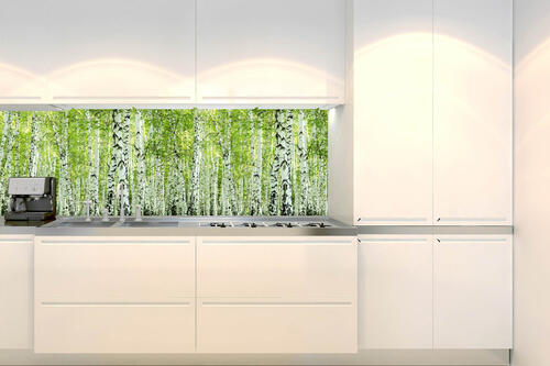 Fototapeta do kuchyně - Jarní březový háj 180 x 60 cm