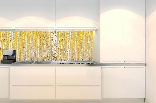 Fototapeta do kuchyně - Žlutý březový háj 180 x 60 cm