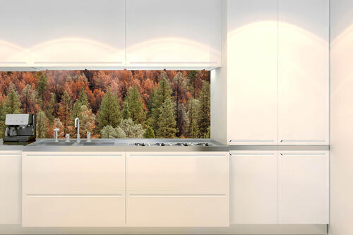 Fototapeta do kuchyně - Barevný borový háj 180 x 60 cm