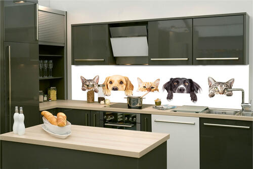 Fototapeta do kuchyně - Kočky a psi 260 x 60 cm