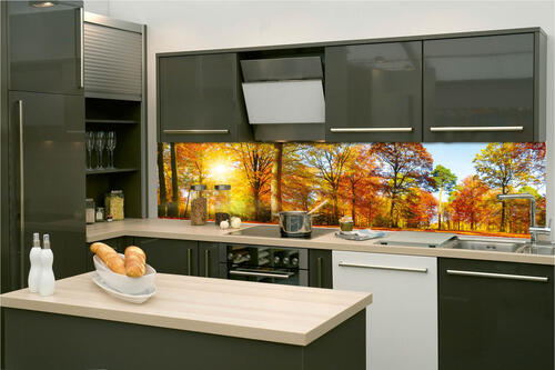 Fototapeta do kuchyně - Barevný podzimní les 260 x 60 cm