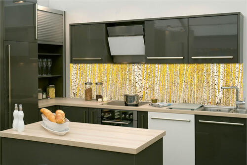 Fototapeta do kuchyně - Žlutý březový háj 260 x 60 cm