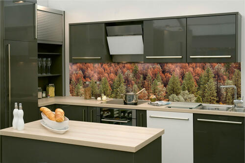 Fototapeta do kuchyně - Barevný borový háj 260 x 60 cm
