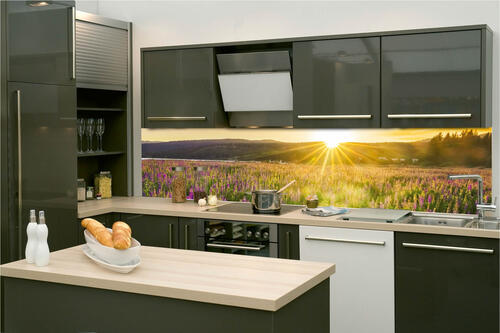 Fototapeta do kuchyně - Sluneční paprsky nad loukou 260 x 60 cm