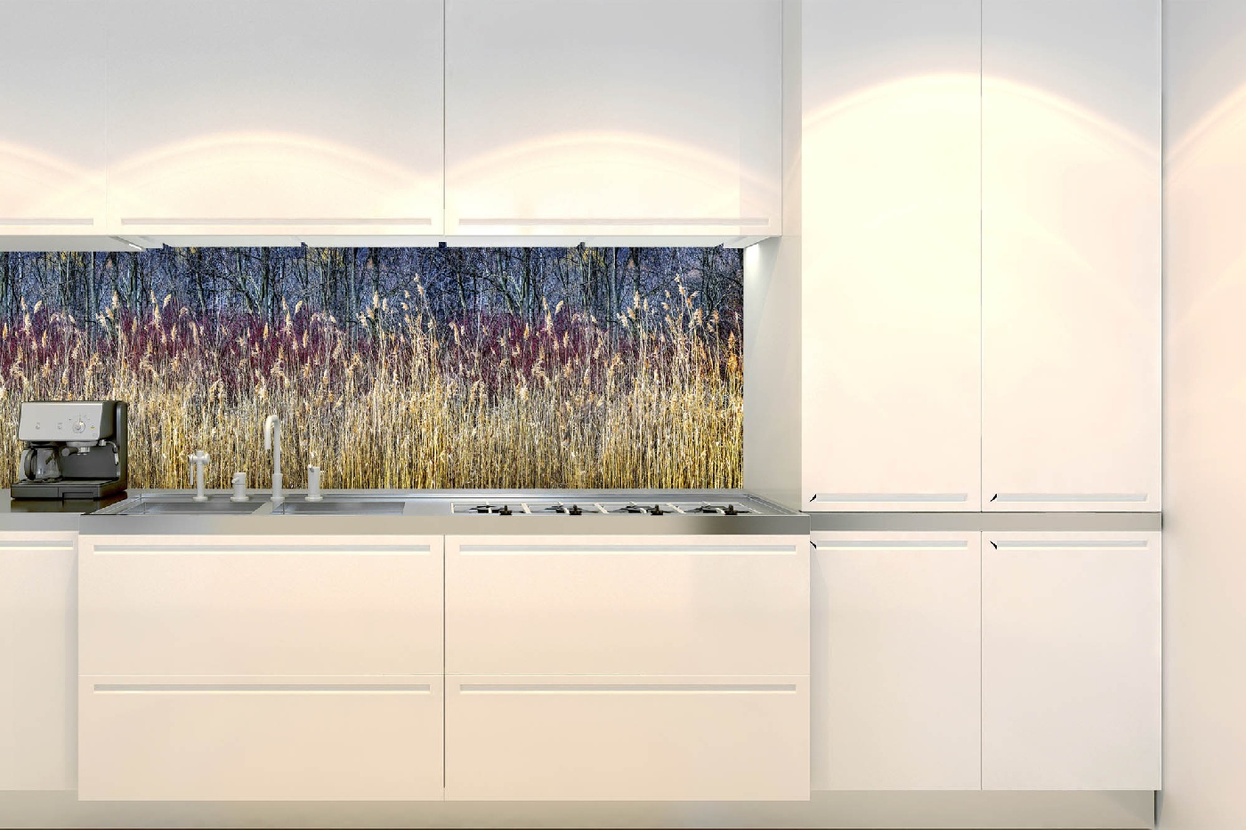 Fototapeta do kuchyně - Zimní rákos 180 x 60 cm 