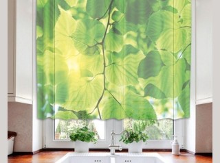 záclona na okno zelené listy