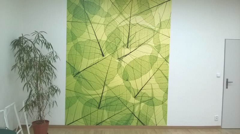 Vliesové fototapety na zeď Zelené listy
